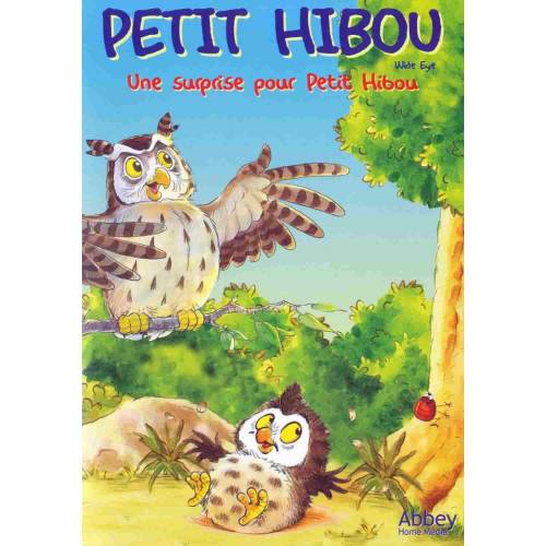 DVD - PETIT HIBOU - UNE SURPRISE POUR PETIT HIBOU