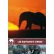 DVD - Les éléphants d'Inde