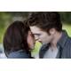 DVD - Twilight - Chapter 2: New Moon - Single Edition