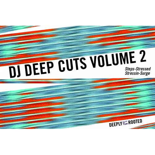 Vinyl - DJ Deep - Cuts Vol 2 - Deeply Rooted House ‎– DRH 051 - 12inch