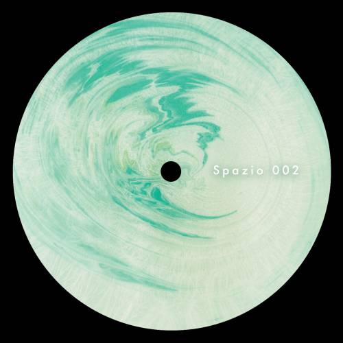 Vinyl - Donato Dozzy - That Fab - Spazio Disponibile - Spazio002 - 12inch